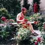 Summer in Austria. Schlierbach