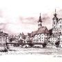 STEYR