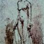 Nudes