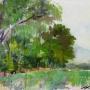 Country Landscape
