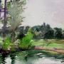 Pond