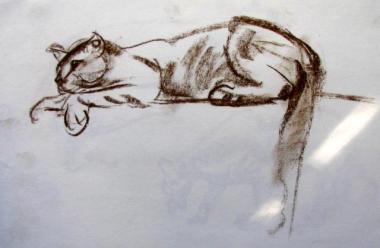 PANTHER
