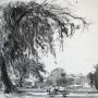 UNDER TREE