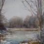 POND IN EARLY SPRING