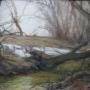 MELTED SNOW