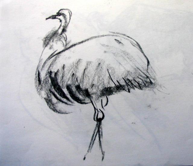 OSTRICH