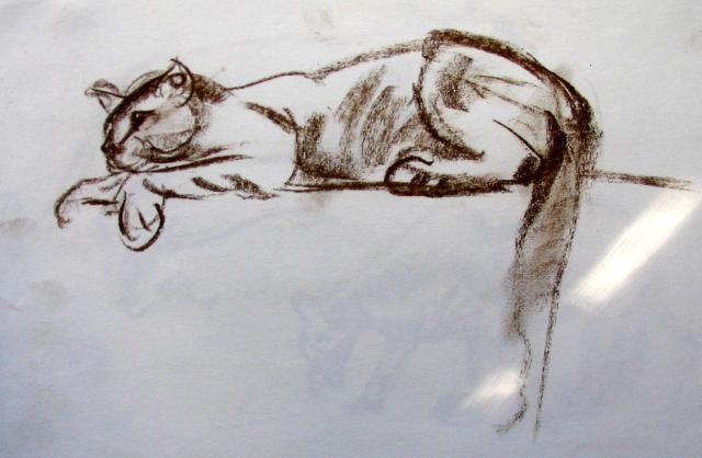 PANTHER