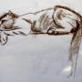 PANTHER