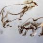 PANTHERS
