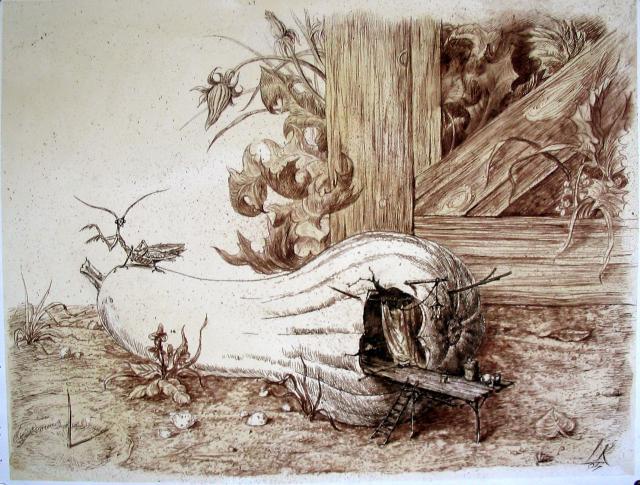 MORNING  SONG  OF  GRASSHOPPER