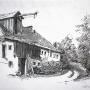 COUNTRY  FARM
